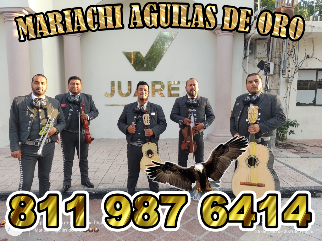 mariachis en